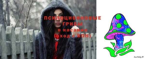 сатива Абдулино