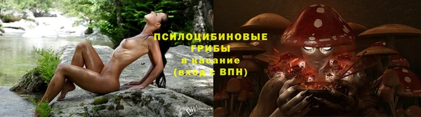 стаф Абинск