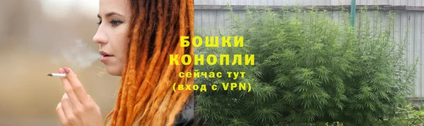 сатива Абдулино