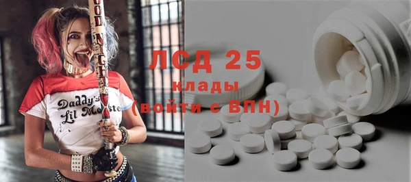 ПСИЛОЦИБИНОВЫЕ ГРИБЫ Абаза