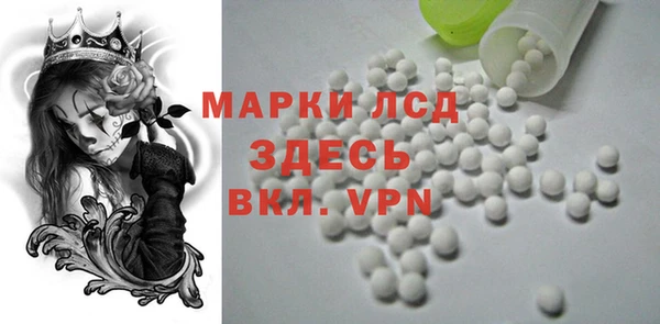 ПСИЛОЦИБИНОВЫЕ ГРИБЫ Абаза