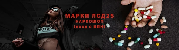 ПСИЛОЦИБИНОВЫЕ ГРИБЫ Абаза