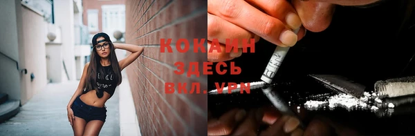 ПСИЛОЦИБИНОВЫЕ ГРИБЫ Абаза