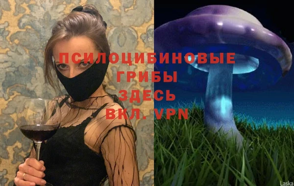 стаф Абинск