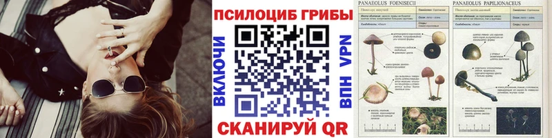 Псилоцибиновые грибы мицелий Костерёво
